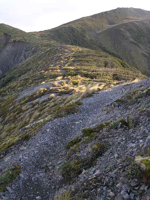 Ruahine - Sunrise Hut 044.jpg